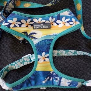 Sold------Dog harness and leash